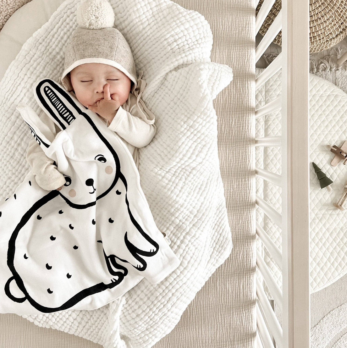 Newborn Toys