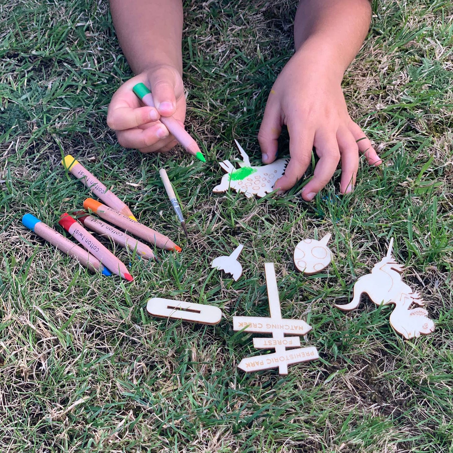 Grow a Dinosaur Garden