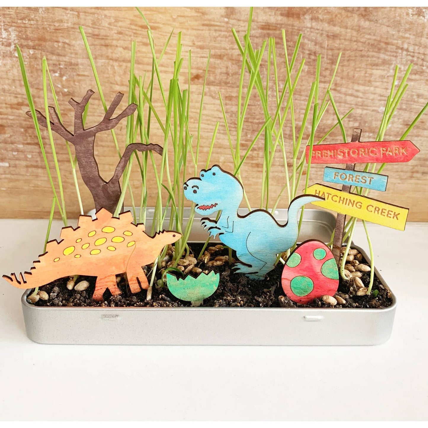 Grow a Dinosaur Garden