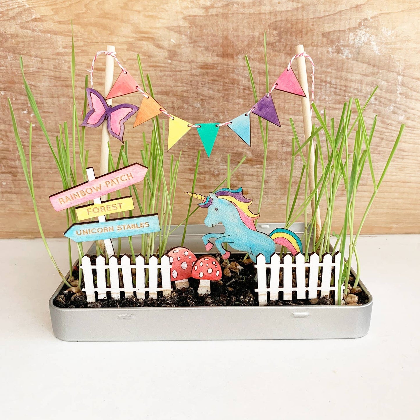 Grow a Magical Fairy Garden