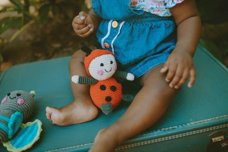 Lady Bug Rattle