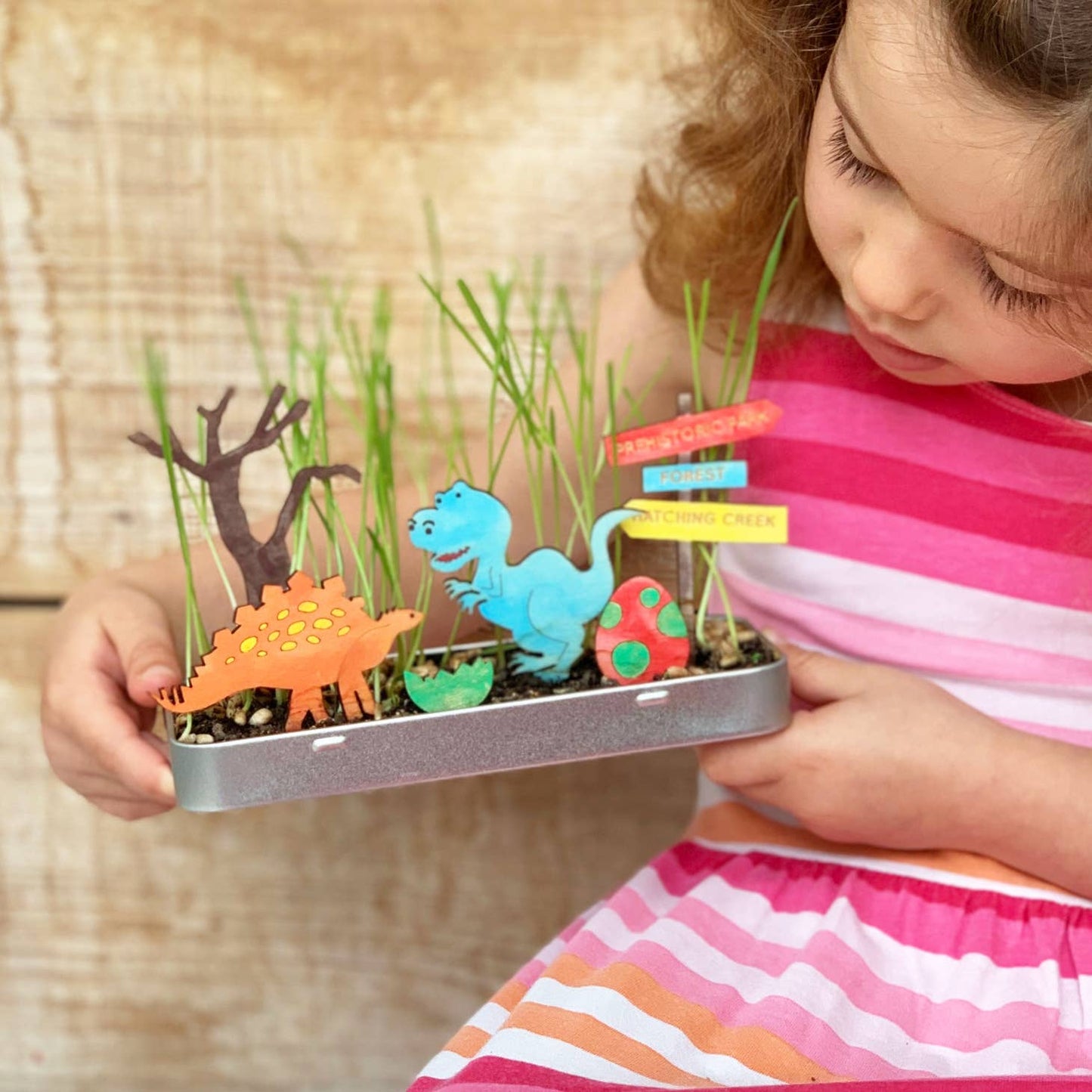 Grow a Dinosaur Garden