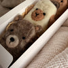 Woodland Gift Set