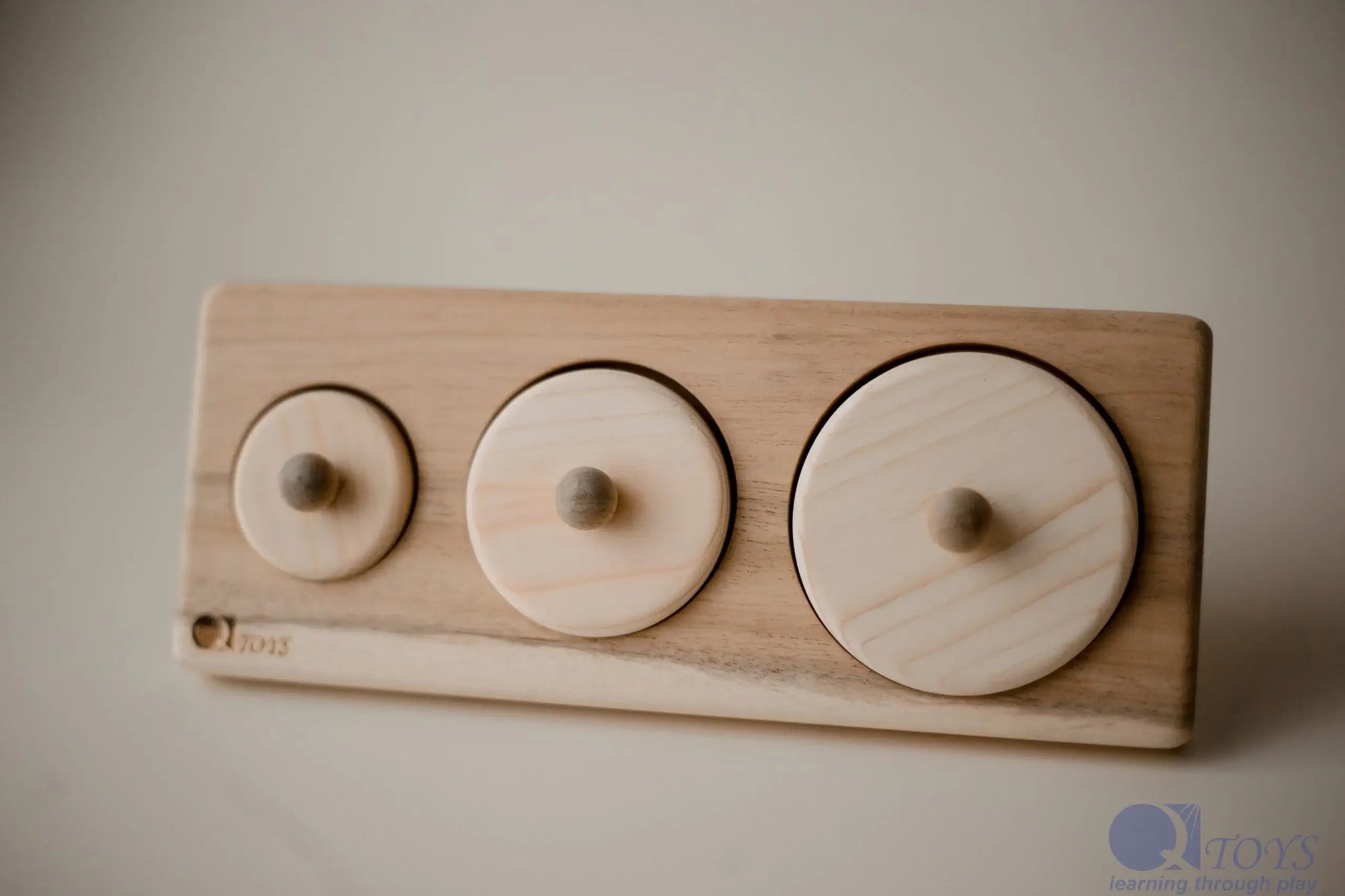 Circle Puzzle
