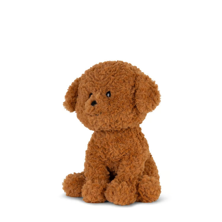 Stacy the Labradoodle Plush in Gift Box – 7"