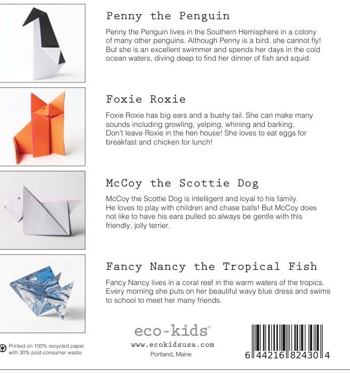 Origami Magic Kit